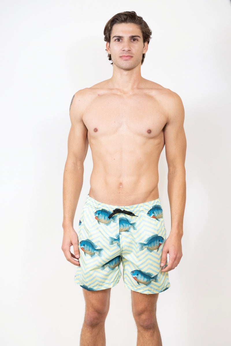 SS-1021 PRINTED SWIM SHORTS 12 PACK