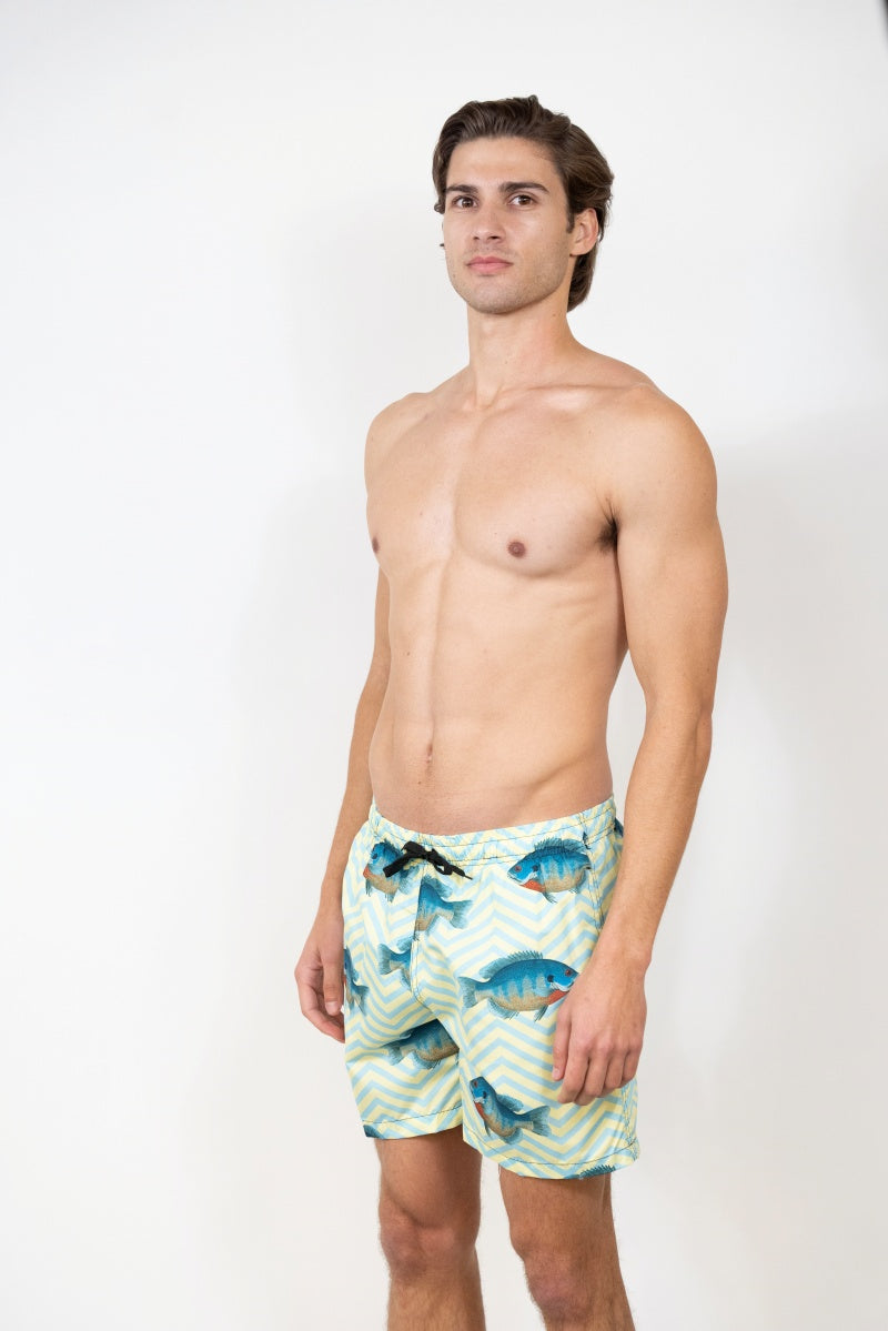 SS-1021 PRINTED SWIM SHORTS 12 PACK