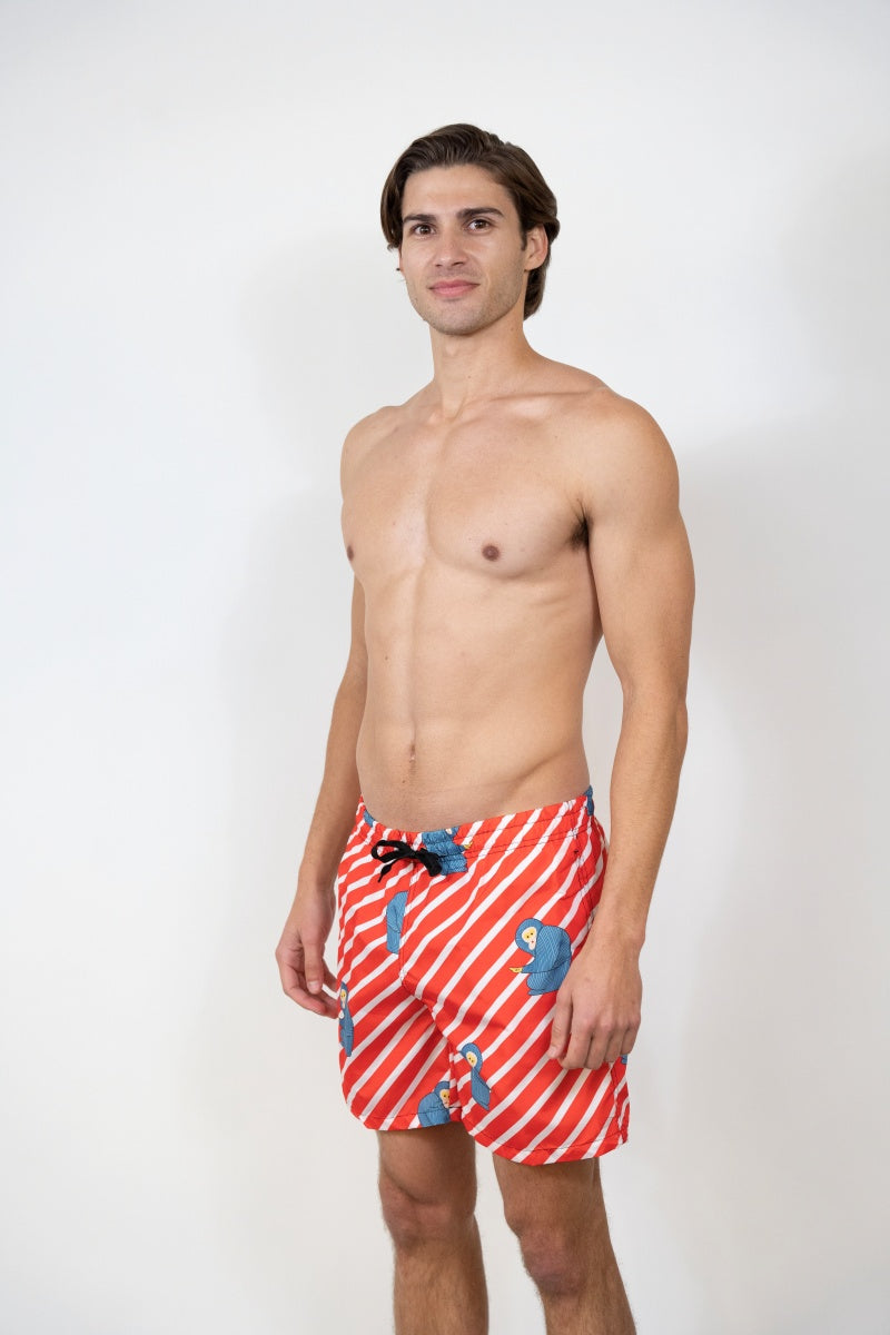 SS-1033 PRINTED SWIM SHORTS 12 PACK